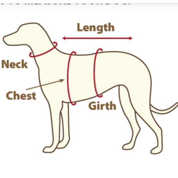 NWT RBX Pet T-Shirt S Red & Black - Picture 9 of 9